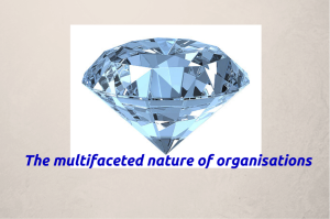 The multifaceted nature of orgs (ver 2)